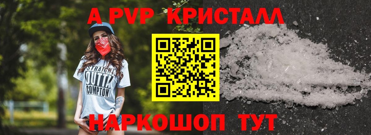 A PVP крисы CK Грозный