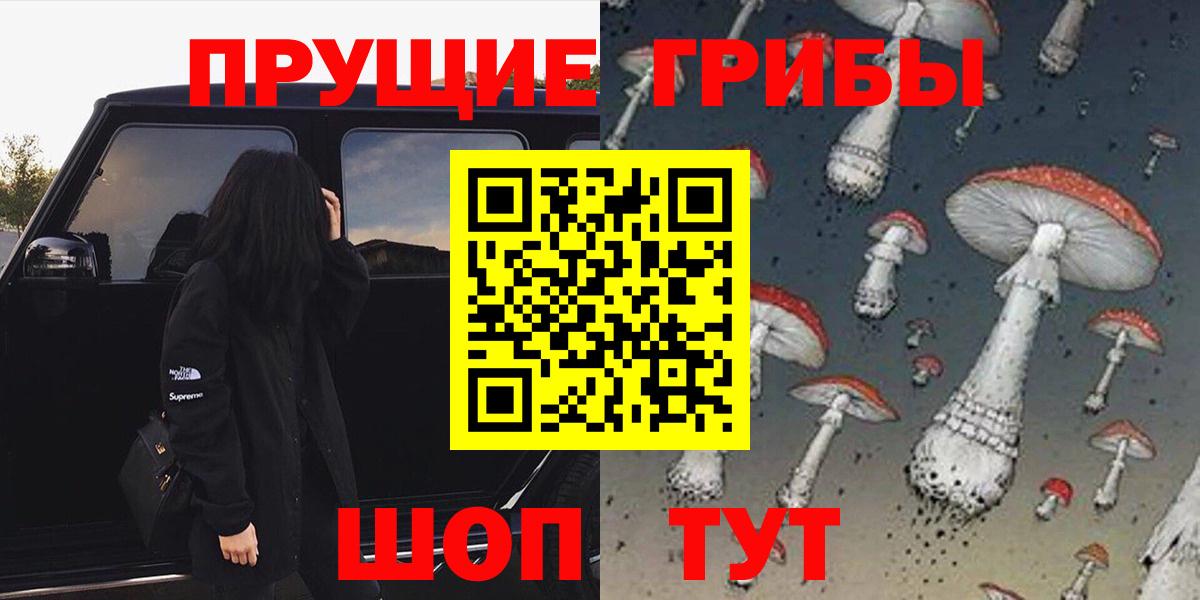 Грозный  Галлюциногенные грибы Magic Shrooms  Вход с VPN  Галлюциногенные грибы Psilocybine cubensis 